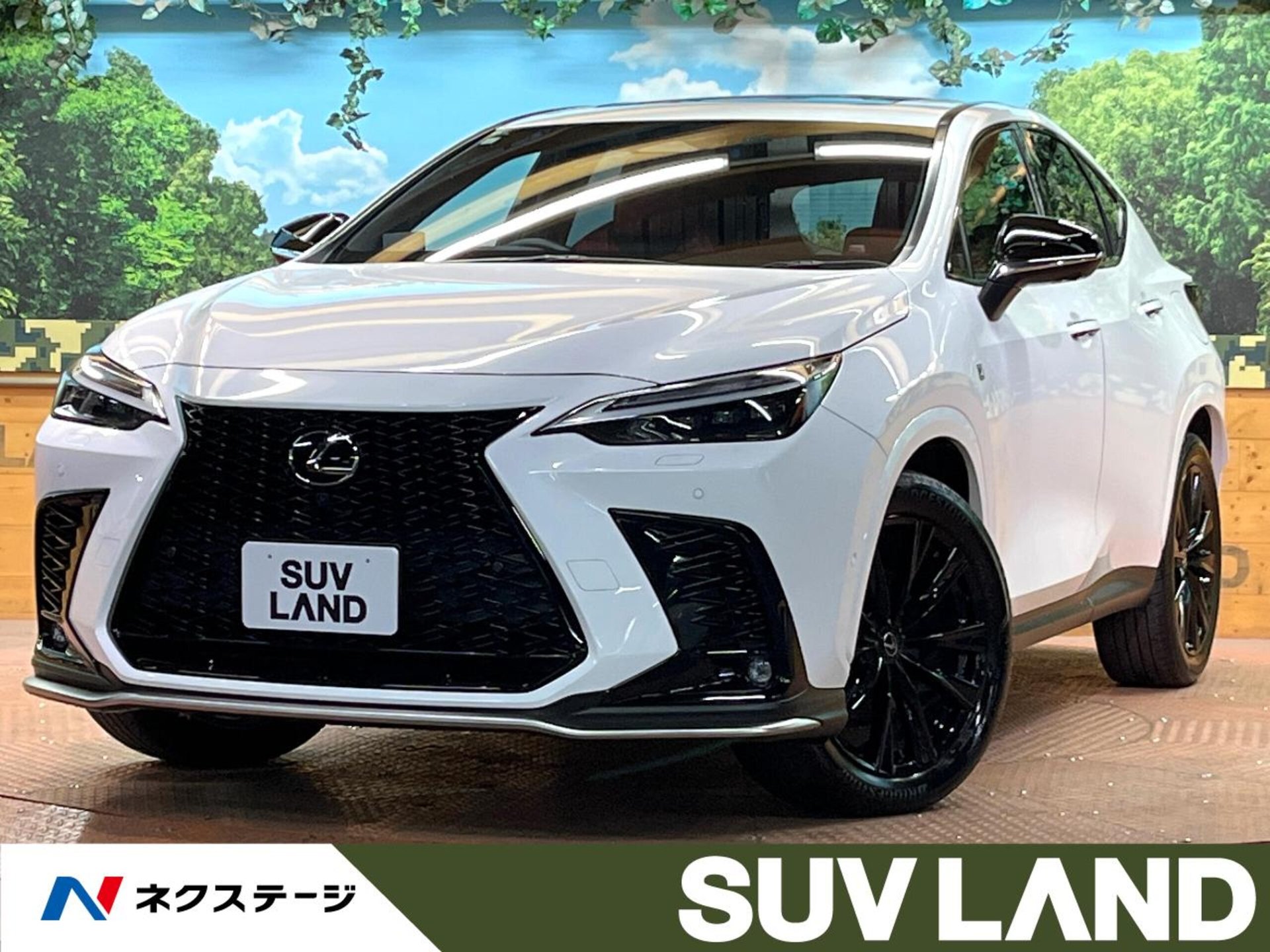 LEXUS NX - View 1