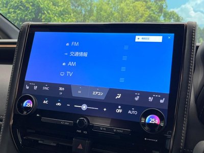 2025 Toyota ALPHARD — миниатюра 66