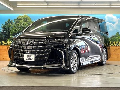 2025 Toyota ALPHARD — миниатюра 29