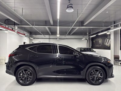 LEXUS NX - 6
