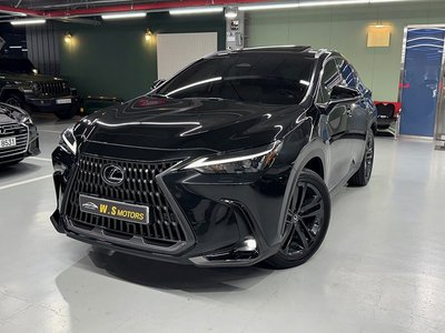 LEXUS NX - 1
