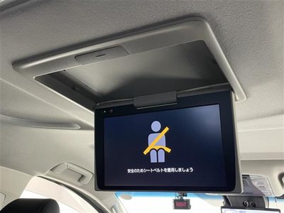 2022 Toyota ALPHARD — миниатюра 13