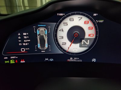2024 Ferrari PUROSANGUE 缩略图 12