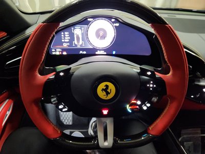 2024 Ferrari PUROSANGUE 缩略图 13