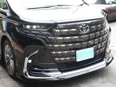 2025 Toyota ALPHARD 缩略图 49