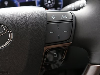 2025 Toyota ALPHARD 缩略图 33