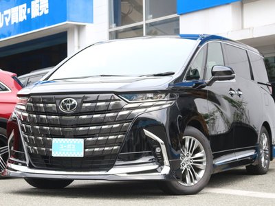2025 Toyota ALPHARD 照片 8