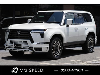 2025 LEXUS GX photo 2