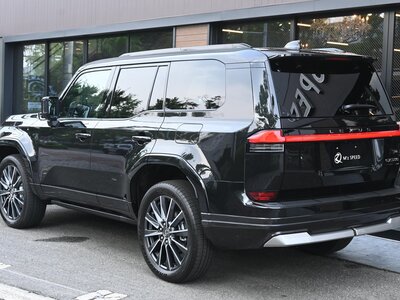 2025 Lexus GX 缩略图 19