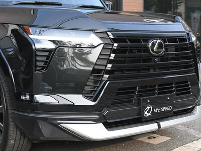 2025 Lexus GX 缩略图 28