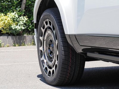 2025 Lexus GX 缩略图 25