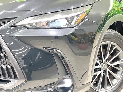 Thumbnail 12