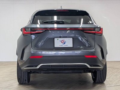 2023 Lexus NX 缩略图 30
