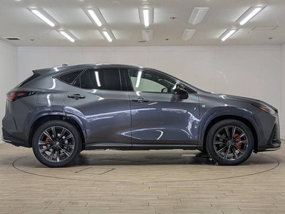2023 Lexus NX 缩略图 20