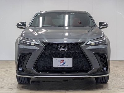 2023 Lexus NX 缩略图 29