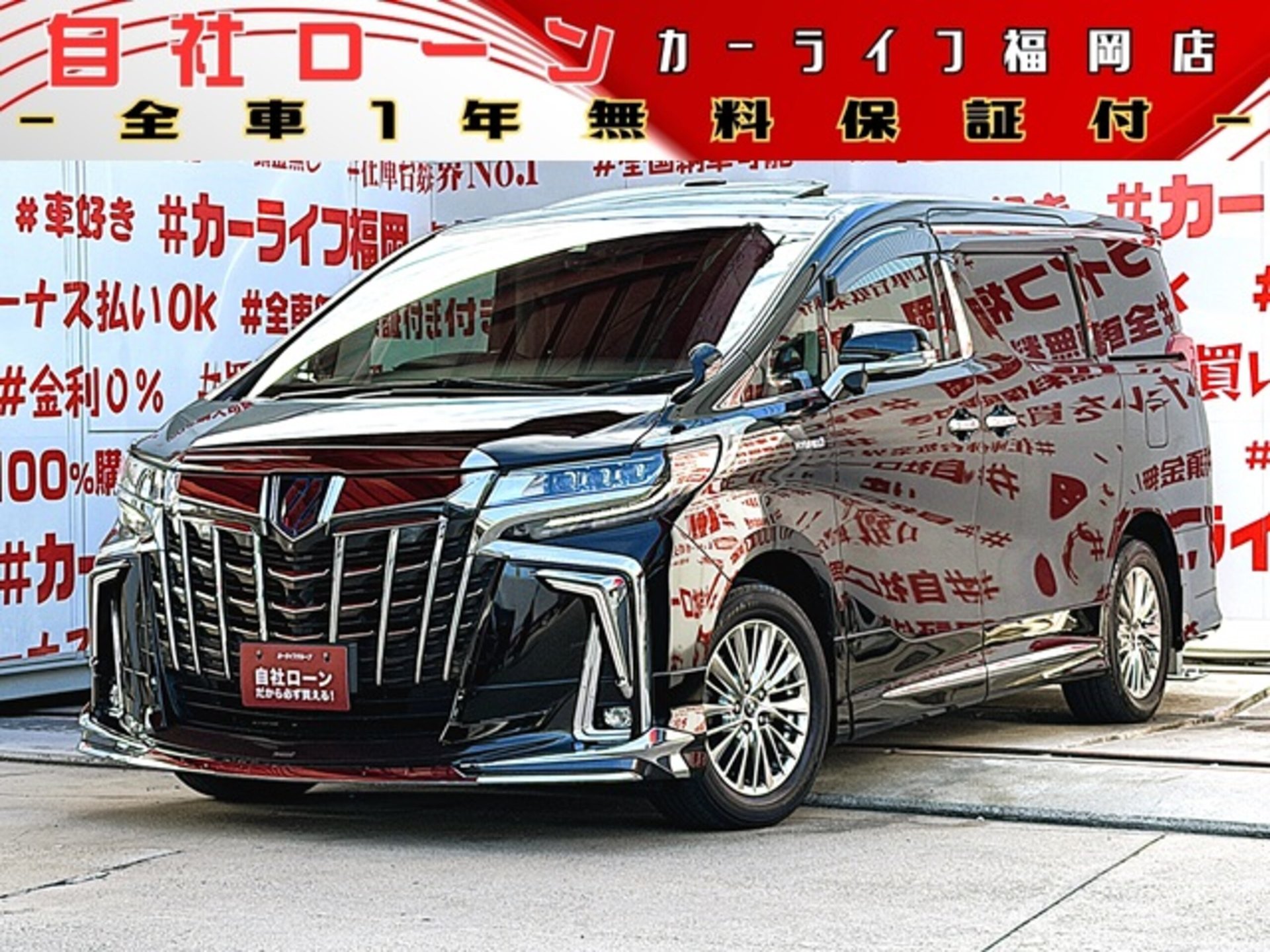 TOYOTA ALPHARD - View 1
