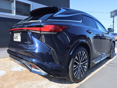 LEXUS RX - 7
