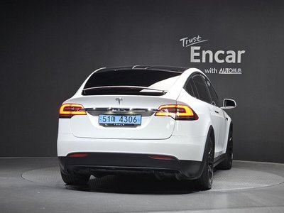 2019 Tesla MODEL X 照片 4