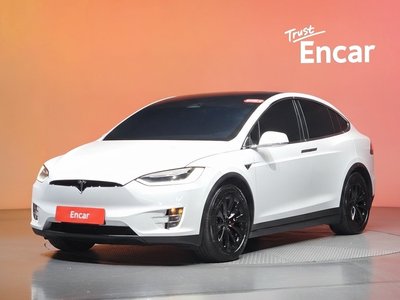 2019 Tesla MODEL X 照片 1