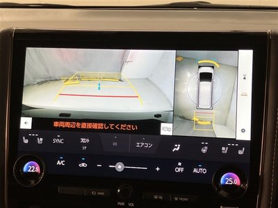 2024 Toyota ALPHARD — фото 10