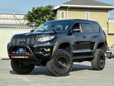2022 Toyota LAND CRUISER PRADO — фото 8