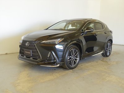 LEXUS NX - 1
