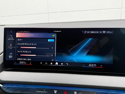 2025 BMW X3 缩略图 39
