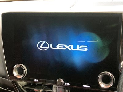 LEXUS NX - 4