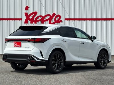 2024 Lexus RX — фото 9