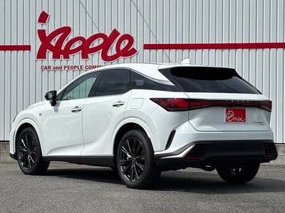 2024 Lexus RX — фото 10