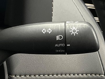 2025 TOYOTA ALPHARD 缩略图 35