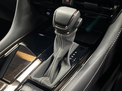 2025 TOYOTA ALPHARD 缩略图 24