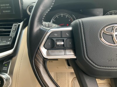 2023 Toyota LAND CRUISER 300 缩略图 32