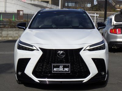 LEXUS NX - 10