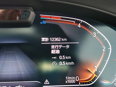 2024 BMW X4 缩略图 29
