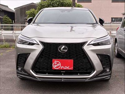 LEXUS NX - 1