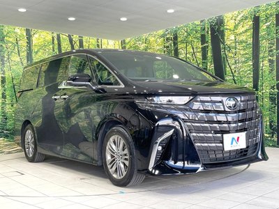 2025 Toyota ALPHARD thumbnail 17