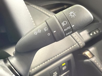 2025 Toyota ALPHARD thumbnail 55