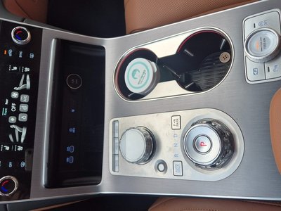 GENESIS GV80 - 10