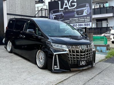 2021 Toyota ALPHARD 照片 1