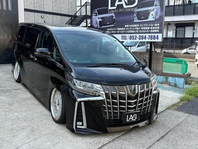 2021 Toyota ALPHARD 照片 4