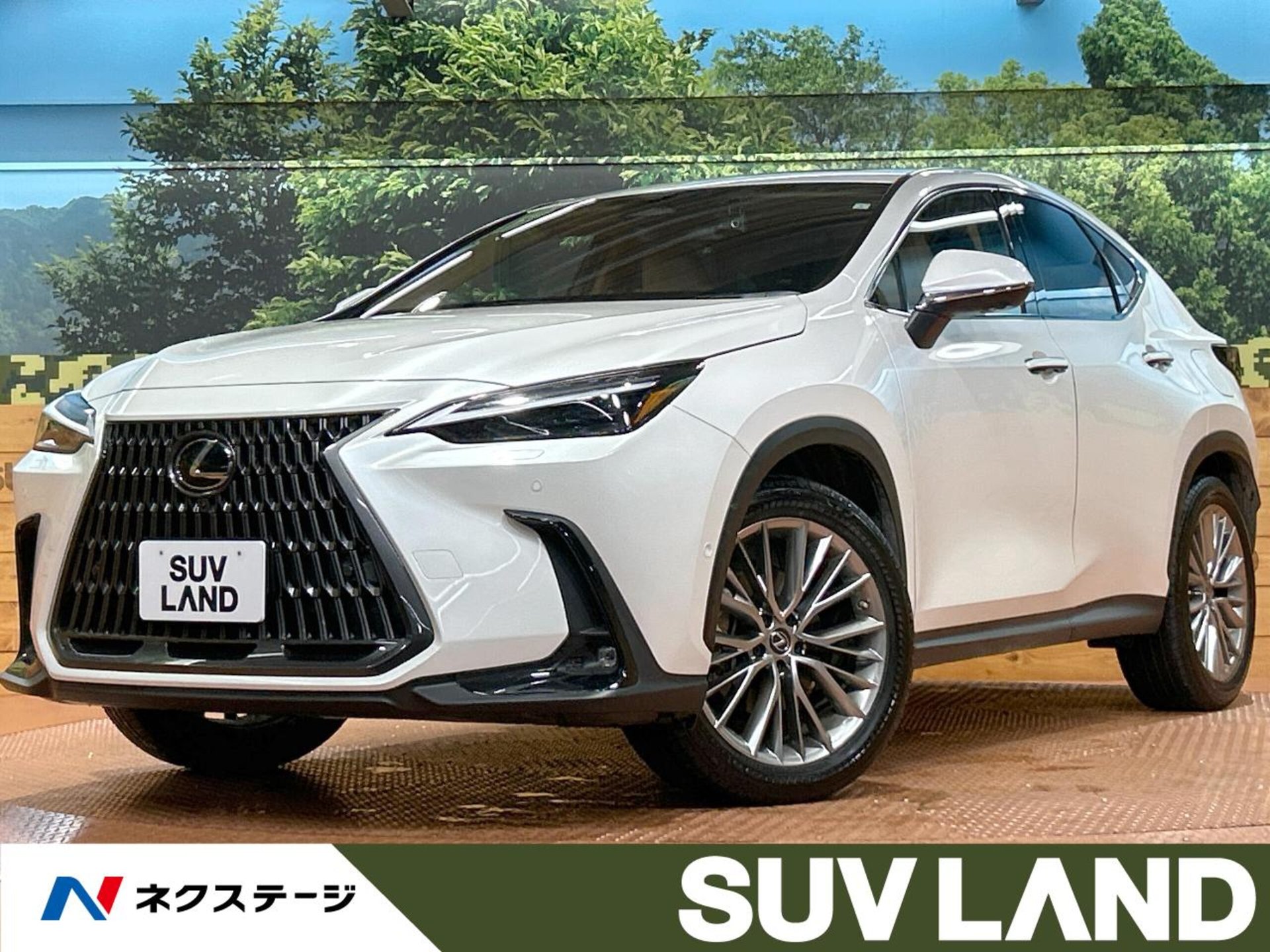 LEXUS NX - View 1