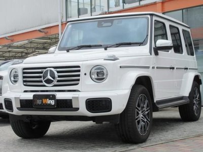 MERCEDES-BENZ G-CLASS - 1