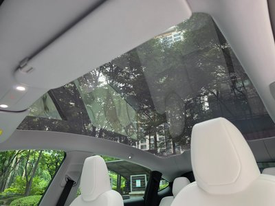 2025 Tesla MODEL Y thumbnail 15