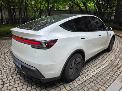 2025 Tesla MODEL Y — фото 3