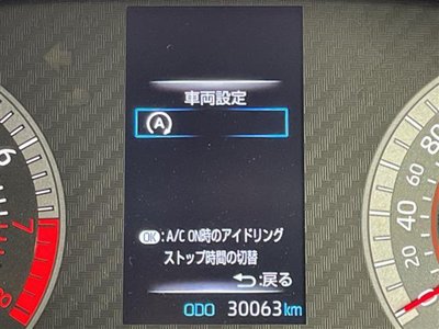 2023 Toyota GR YARIS 照片 24