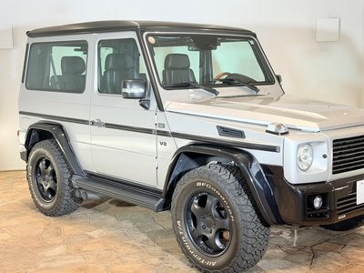 2001 Mercedes-BENZ G-CLASS photo 9
