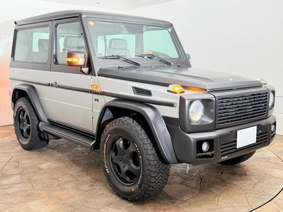 2001 Mercedes-BENZ G-CLASS 缩略图 39