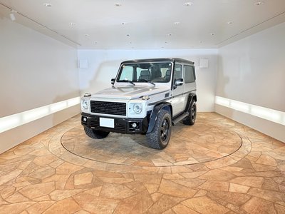2001 Mercedes-BENZ G-CLASS photo 1