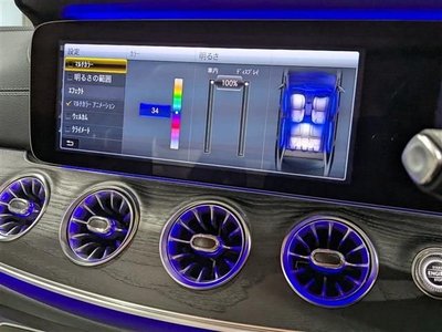 2018 Mercedes-BENZ OTHERS photo 8